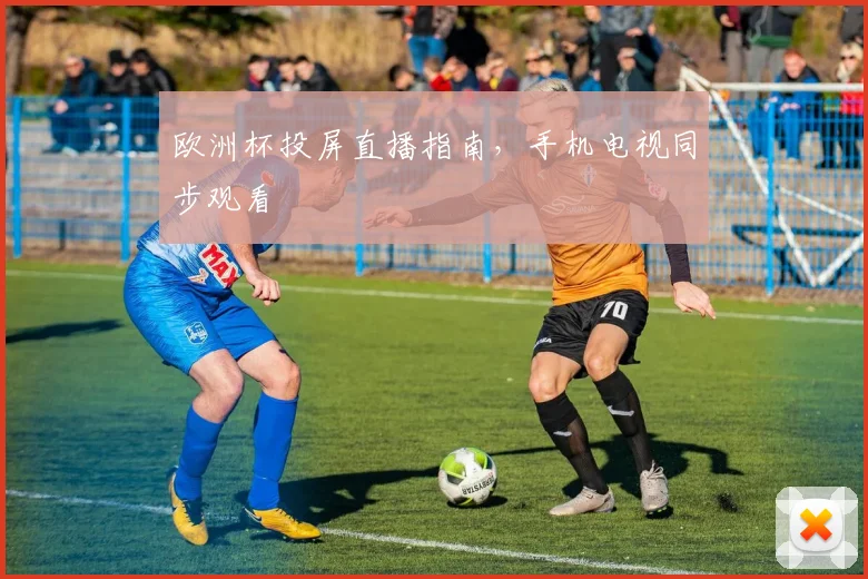 欧洲杯投屏直播指南,手机电视同步观看