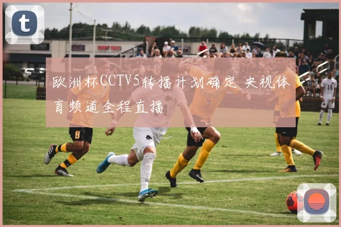 欧洲杯CCTV5转播计划确定 央视体育频道全程直播