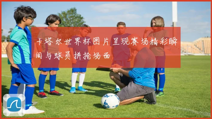 卡塔尔世界杯图片呈现赛场精彩瞬间与球员拼抢场面